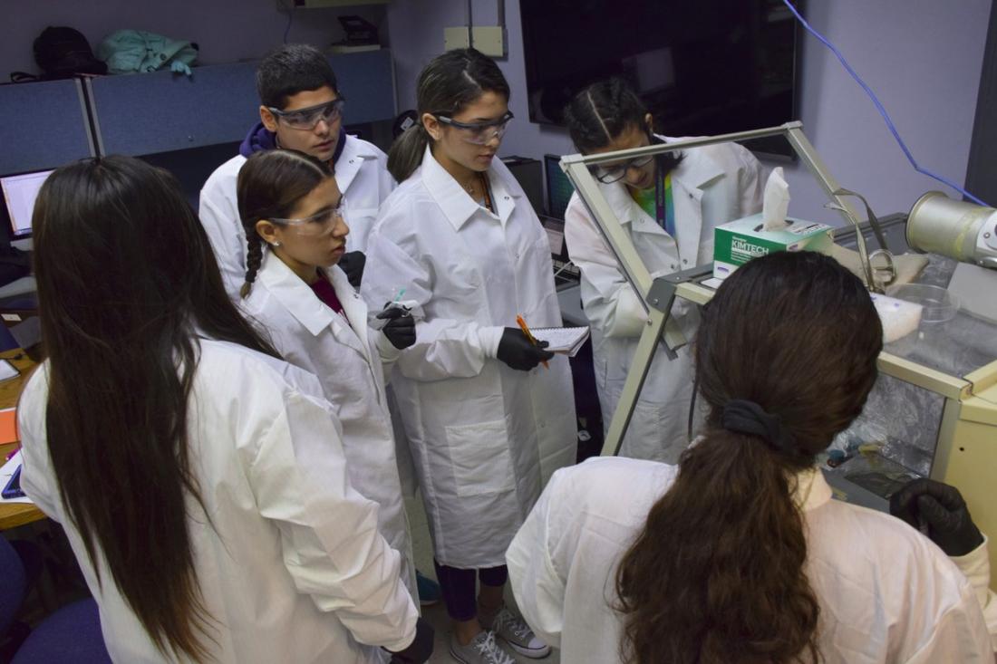 University of Puerto Rico Humacao Partnership for Research and Education In Material Sciences