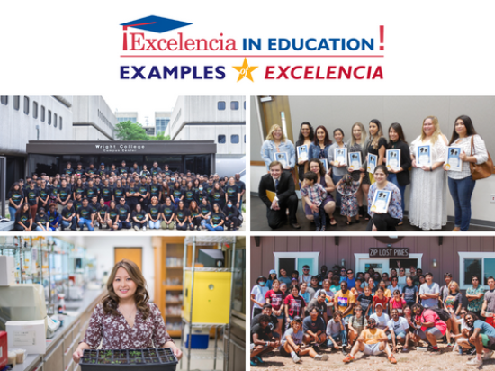 2023 Examples of Excelencia - Square banner